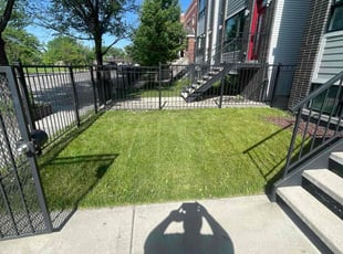 Oana G.'s turf care service result