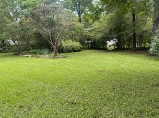 Jean S.'s grass cutting service result