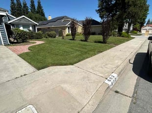 Lettie B.'s grass cutting service result