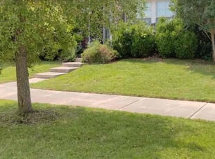 Barbara G.'s turf maintenance service result