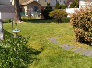 Joseph B.'s lawn service service result
