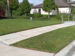 Jamie B.'s lawn maintenance service result