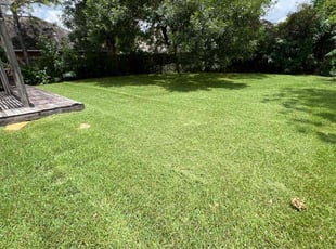 Kenn J.'s lawn care services service result