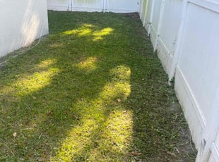 Calvin A.'s lawn care service result