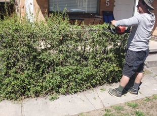 Eric C.'s Bush Trimming service result