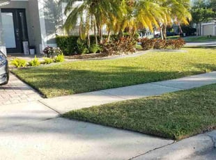 Nyla J.'s lawn service service result