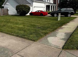 Irisha L.'s lawn maintenance service result