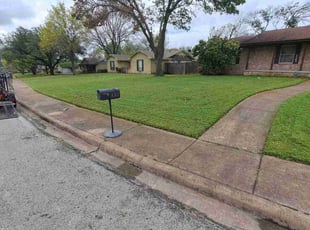 Ray T.'s lawn maintenance service result