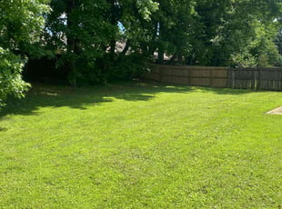 Cierra S.'s turf care service result