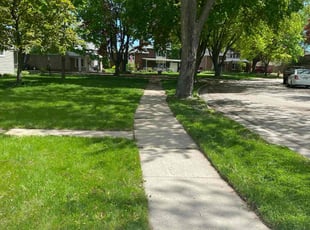 Faasauga G.'s lawn care services service result