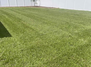 Marly D.'s lawn service service result