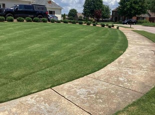 Clara E.'s grass maintenance service result