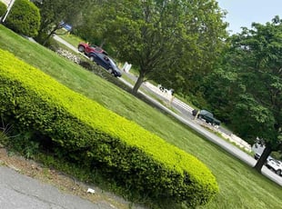 Ed M.'s lawn maintenance service result