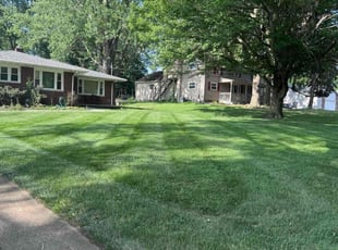 Gary L.'s turf care service result