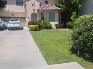 Mia F.'s lawn care services service result