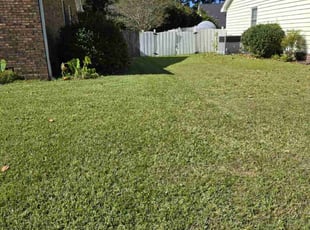 Michelle P.'s grass cutting service result