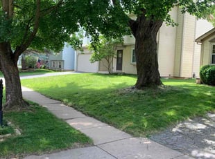 Brenda H.'s turf care service result