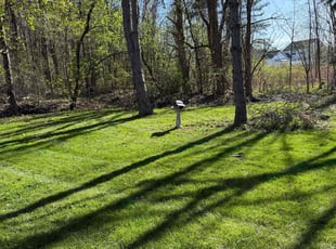 Travis W.'s lawn maintenance service result