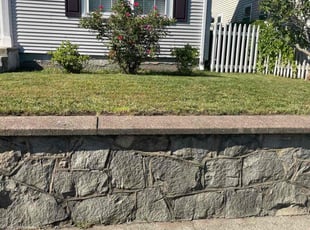 Mayda M.'s lawn service service result