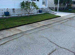 Tracy T.'s lawn care service result