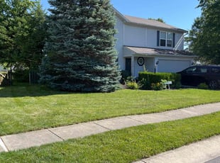 Pamela A.'s grass maintenance service result