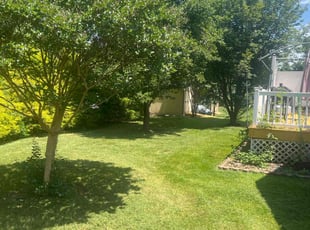 William T.'s grass cutting service result