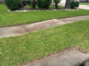 Malina L.'s Leaf Removal service result