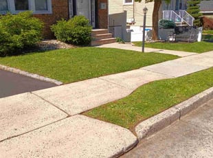 Dorothy B.'s lawn maintenance service result