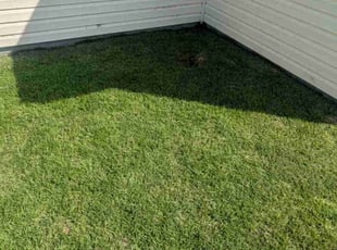 Michael F.'s lawn service service result