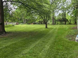 Thomas G.'s lawn care services service result