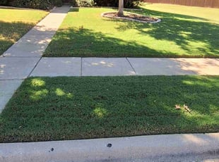 Katie K.'s turf care service result
