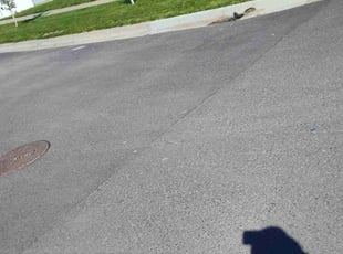 Ali M.'s turf maintenance service result