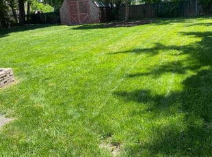 Srinivas M.'s lawn care service result