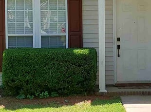 John C.'s Bush Trimming service result