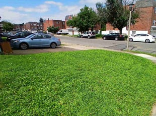 Michael C.'s lawn service service result