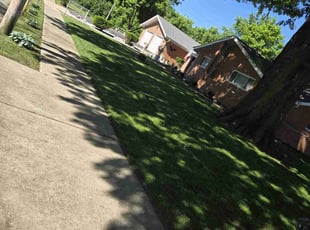 Rhea A.'s lawn care service result