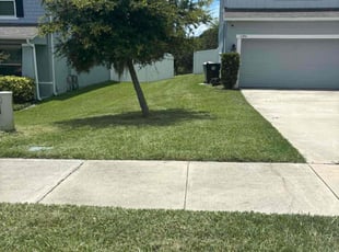 Shomari F.'s grass cutting service result