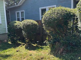 Leondra B.'s Bush Trimming service result