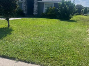 Jilian D.'s grass cutting service result