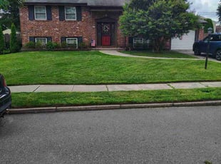 Marie F.'s lawn care services service result