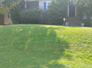 Earl M.'s lawn care services service result