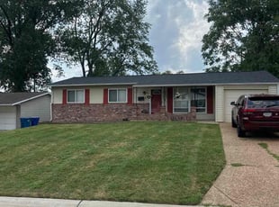 Anthony S.'s lawn care service result