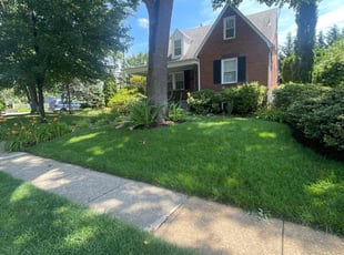 Amanda W.'s lawn care services service result