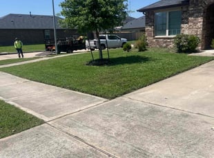 Chelsea H.'s grass maintenance service result