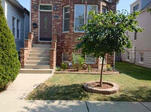 Daniel D.'s lawn care service result