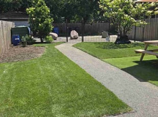 Sara D.'s lawn care service result
