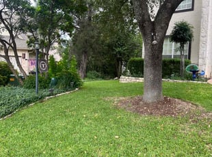 Thomas L.'s lawn maintenance service result