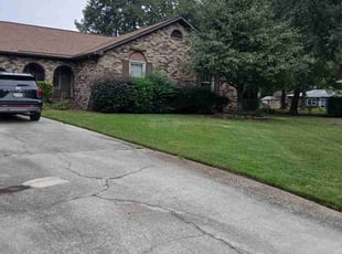 Shelley W.'s turf care service result