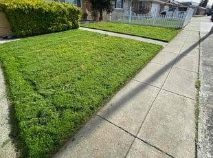 Larry F.'s lawn care services service result