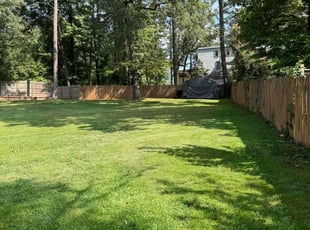 Andrew K.'s turf care service result